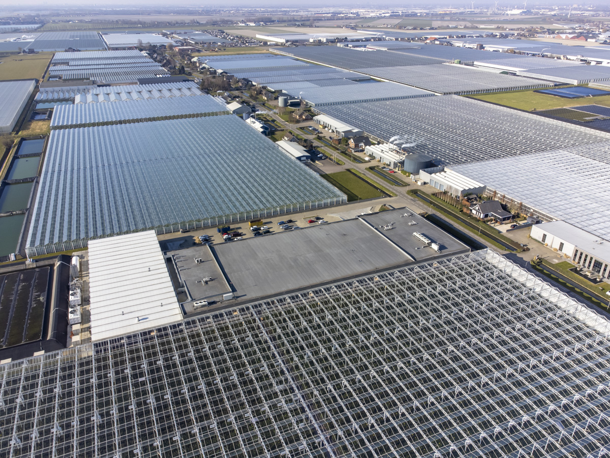 luchtfotografie glastuinbouw