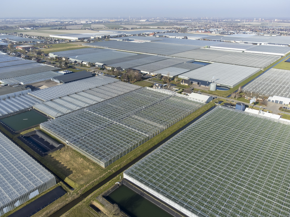 luchtfotografie glastuinbouw