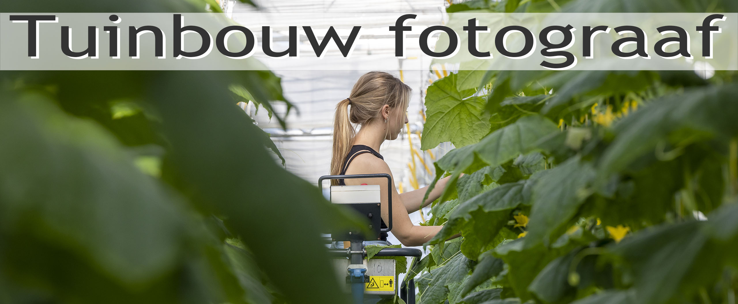 fotografie tuinbouw