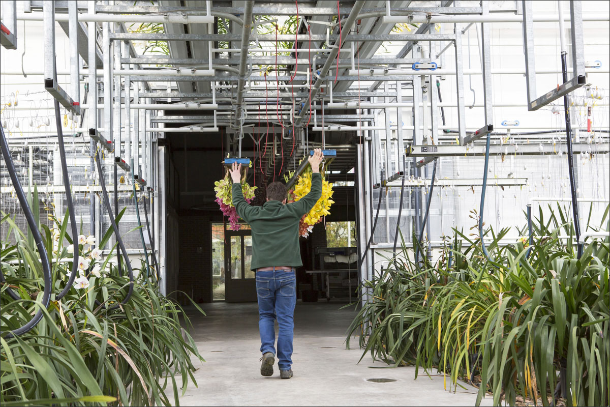 fotografie glastuinbouw