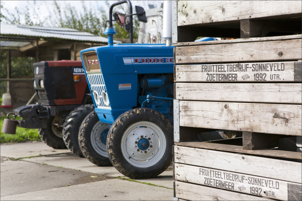 fotografie fruitteelt