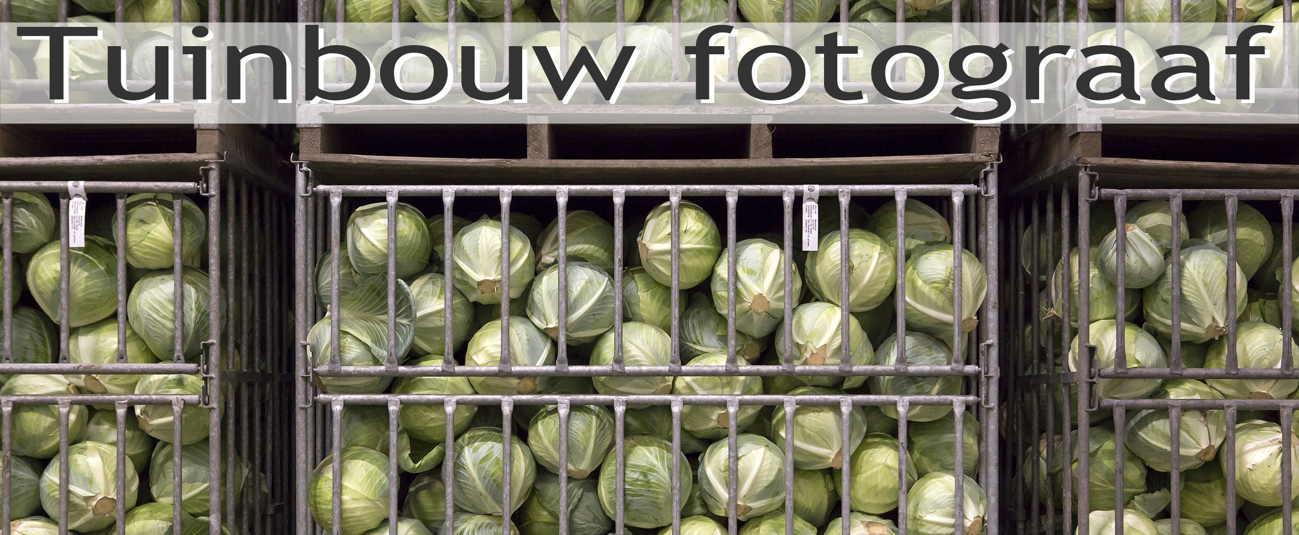 fotograaf horticultuur