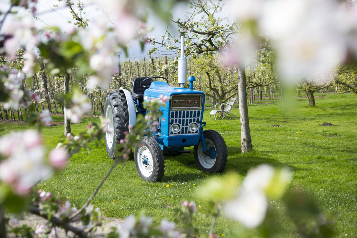 fotografie fruitteelt