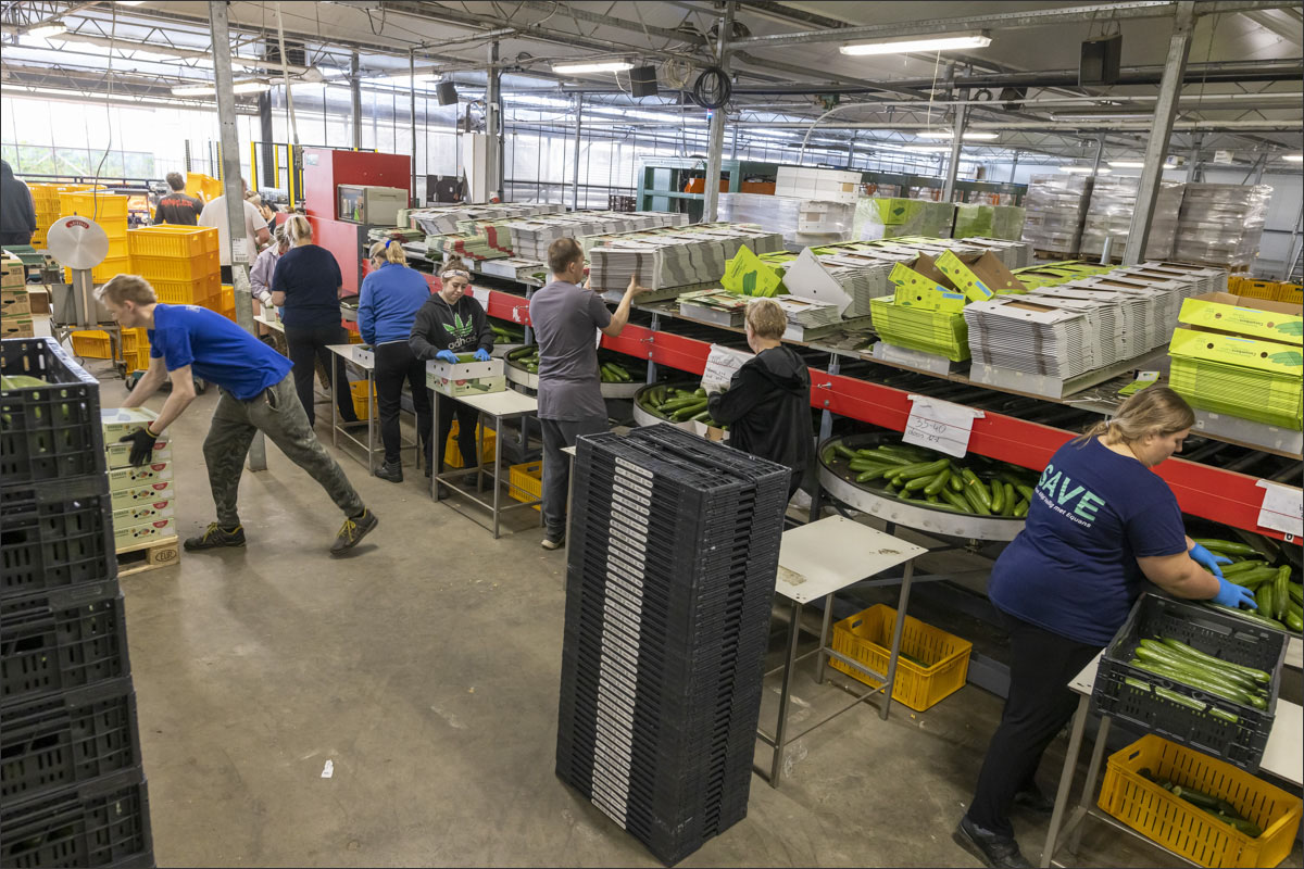 fotografie glastuinbouw