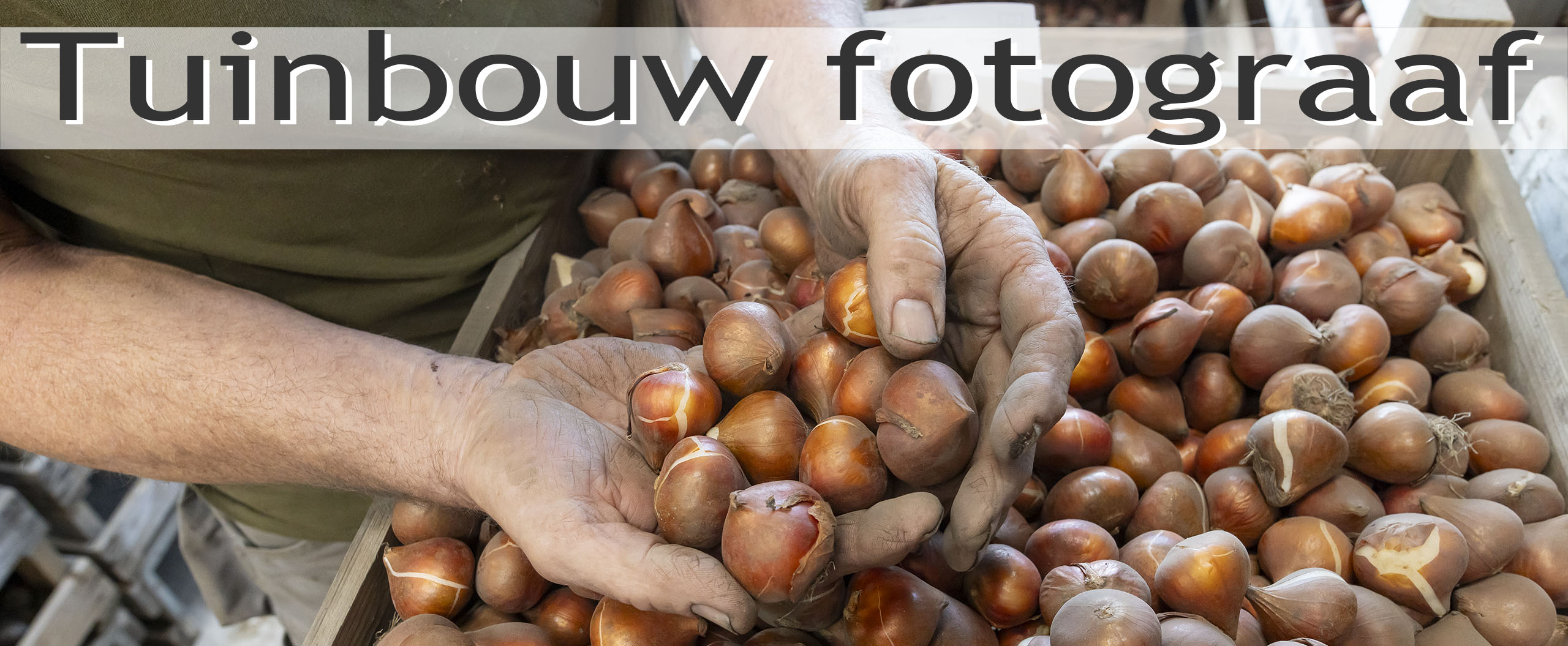 fotograaf horticultuur