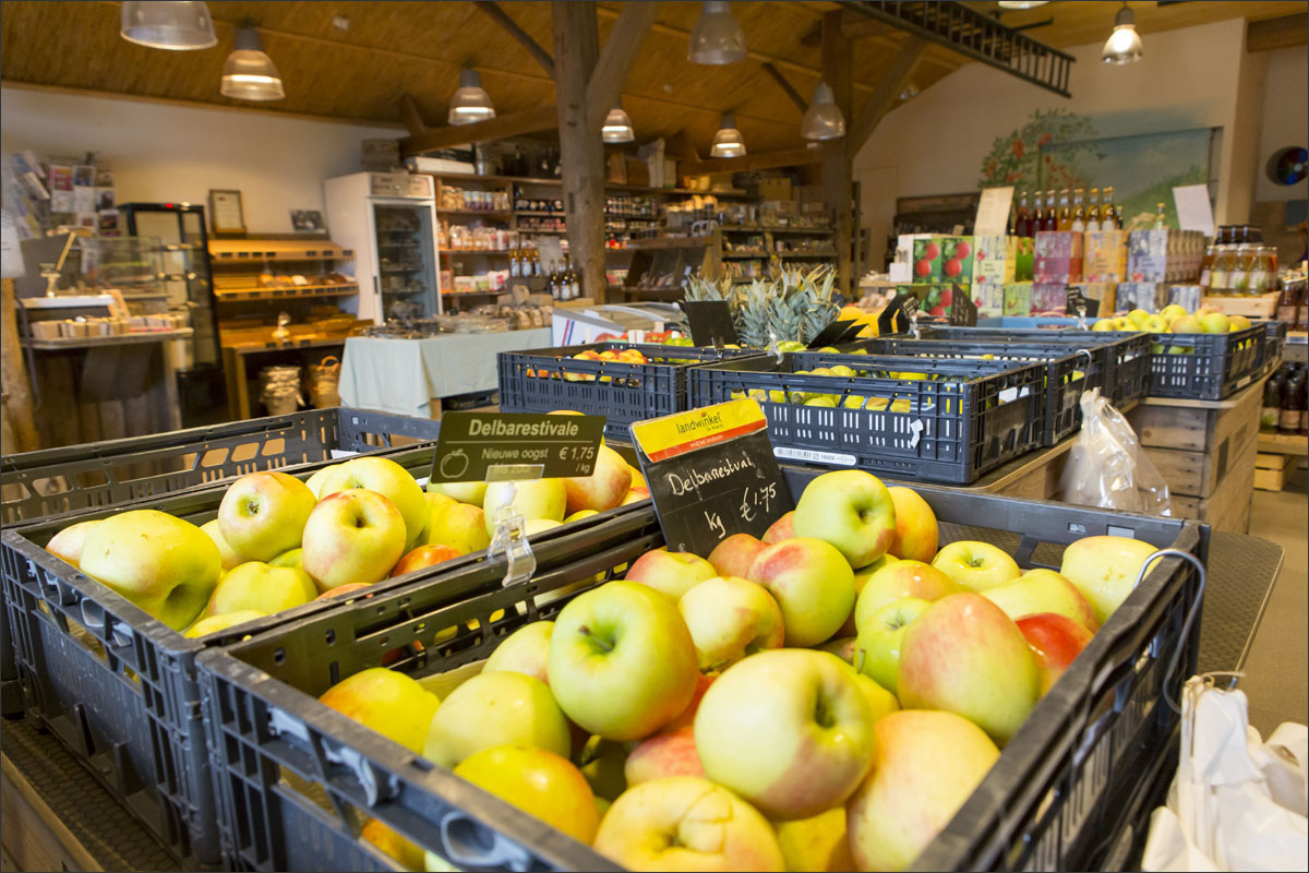 fotografie fruitteelt