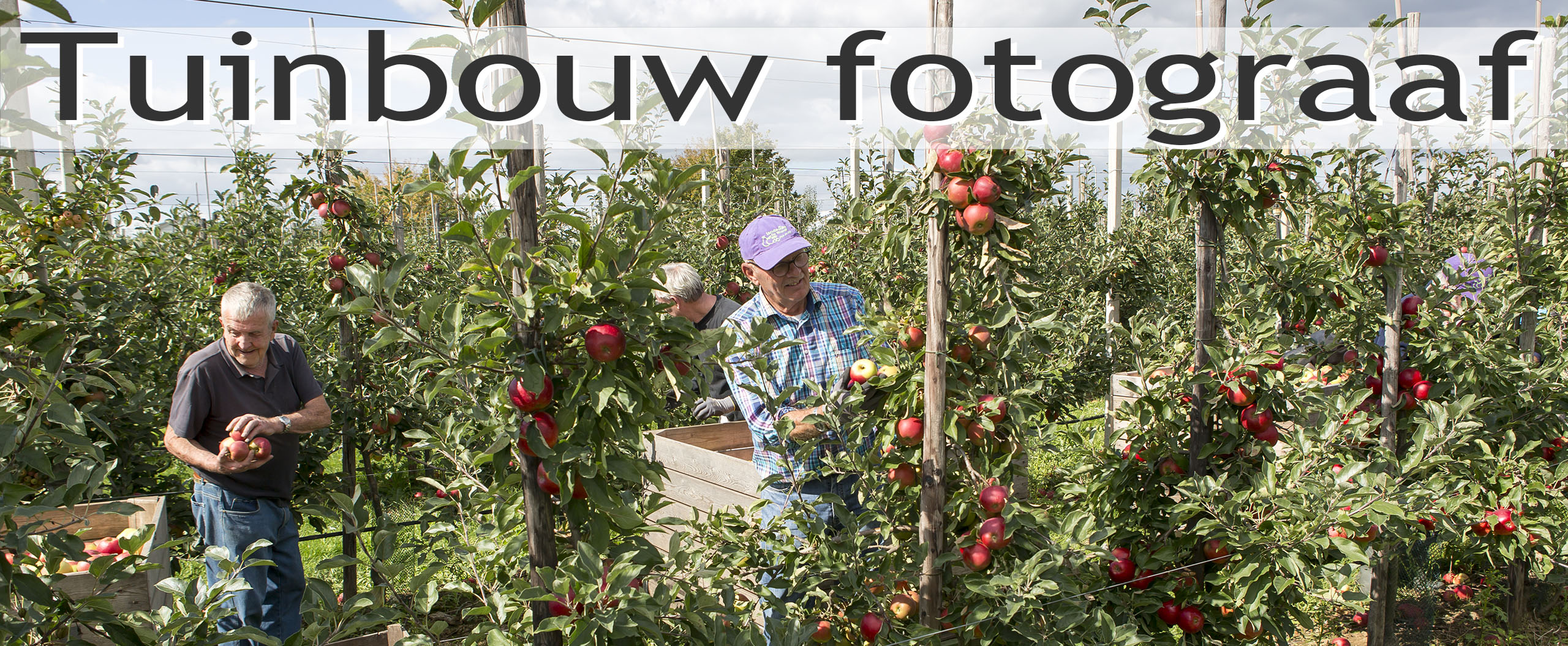 fotografie tuinbouw